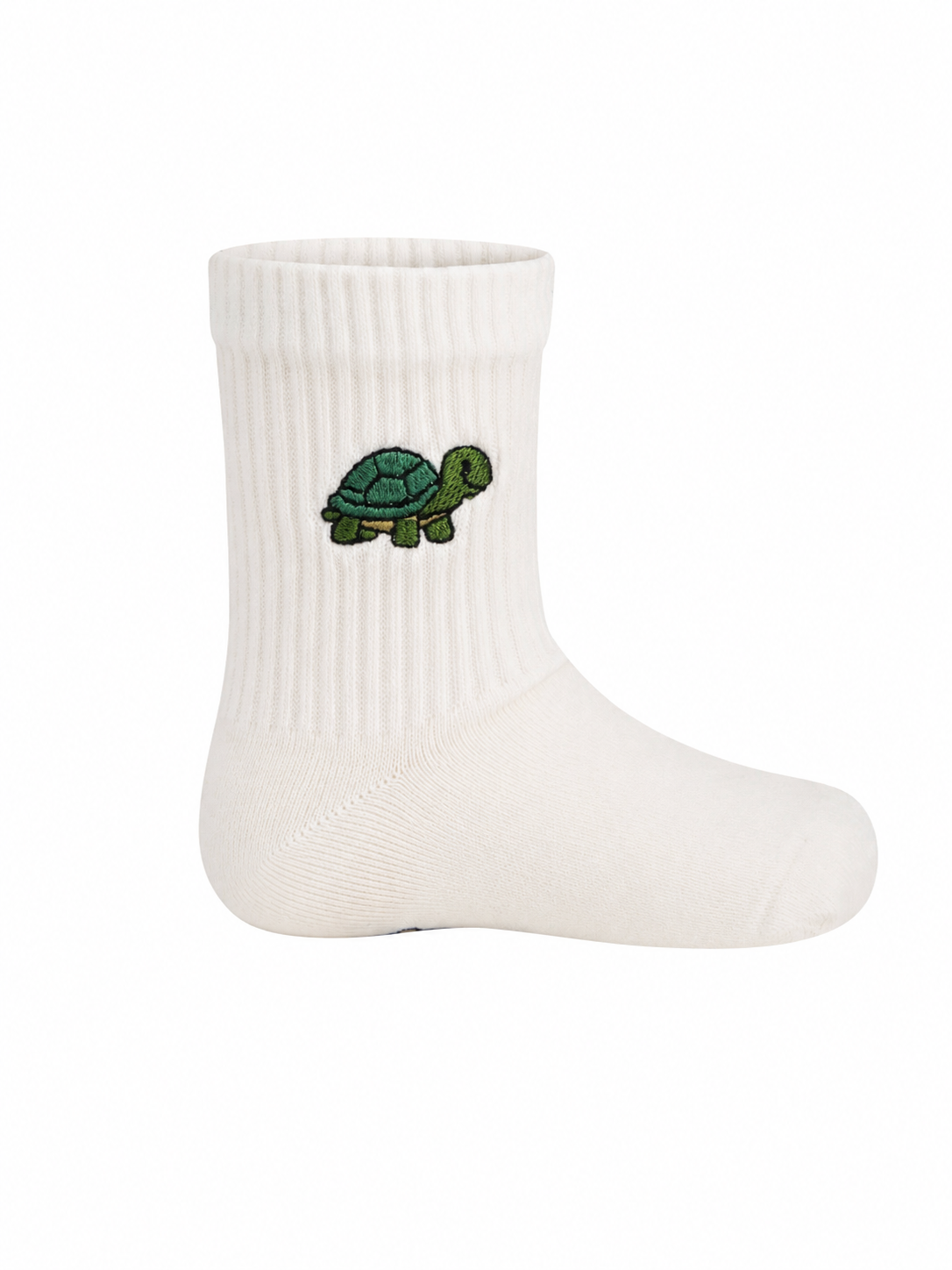 Tortoise